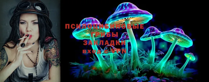 Галлюциногенные грибы Psilocybine cubensis  купить наркотик  Кириши 